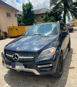 Mercedes-Benz M Class 2013 Blue