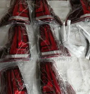 Rear Light Gx460 2020 to 2022