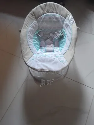 Us Used Ingenuity Baby Bouncer