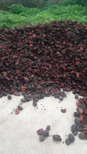 Camerronian Pepper Nigerian Pepper