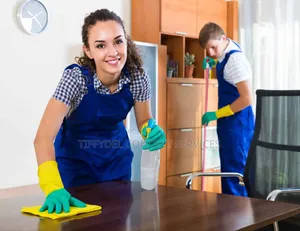 Cleaning Services