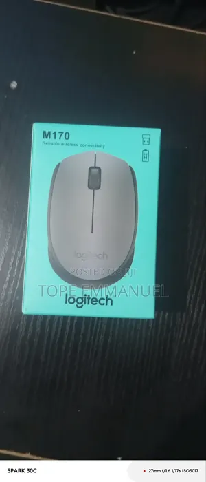 Logitech 170 Wireless Mouse