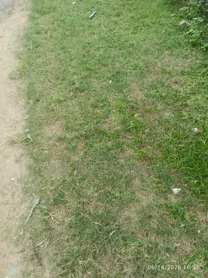 Zylus Chrystland City Epe