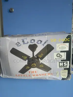 Ac Dc Ceiling Fan