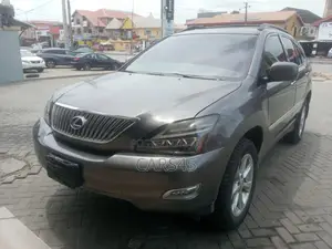 Lexus RX 2008 Gray