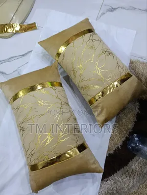 Luxury Apartments Classic Soft Micro Fibre Throw Pillows.
