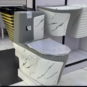 Clara White/Grey New Ideal Water Closet  With Wall Hung Basin