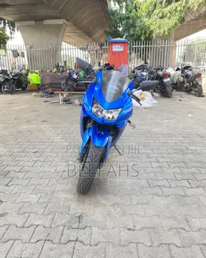 Kawasaki Ninja 300 2013 Blue
