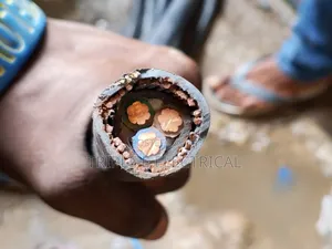25mm 3core Armoured Cable Nigeria Coleman