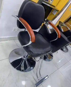 Salon Chair