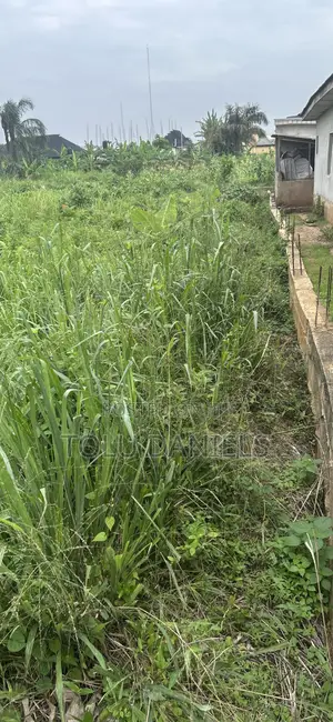 Half Plot Of Land For Sale In Poro Agbaje Estate , Cele Bus Stop