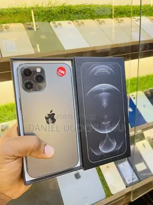 Apple iPhone 12 Pro Max 128 GB Gray