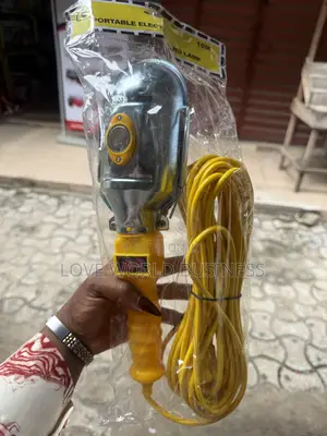 Electric Potable Hand Lamb