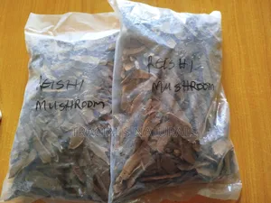 Reishi Mushroom 500g