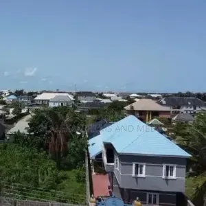 Drone Service + Professional Pilot