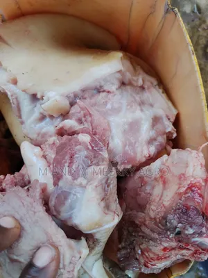 Pork Meat Fresh