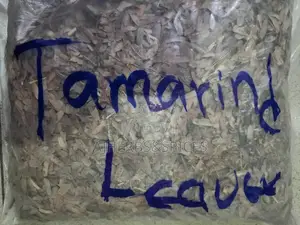 Tamarind Leave