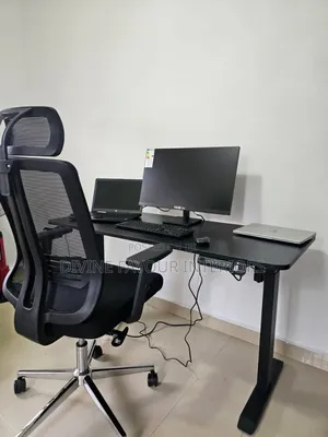 Electric Adjustable Desk With Butterfly Office Chair