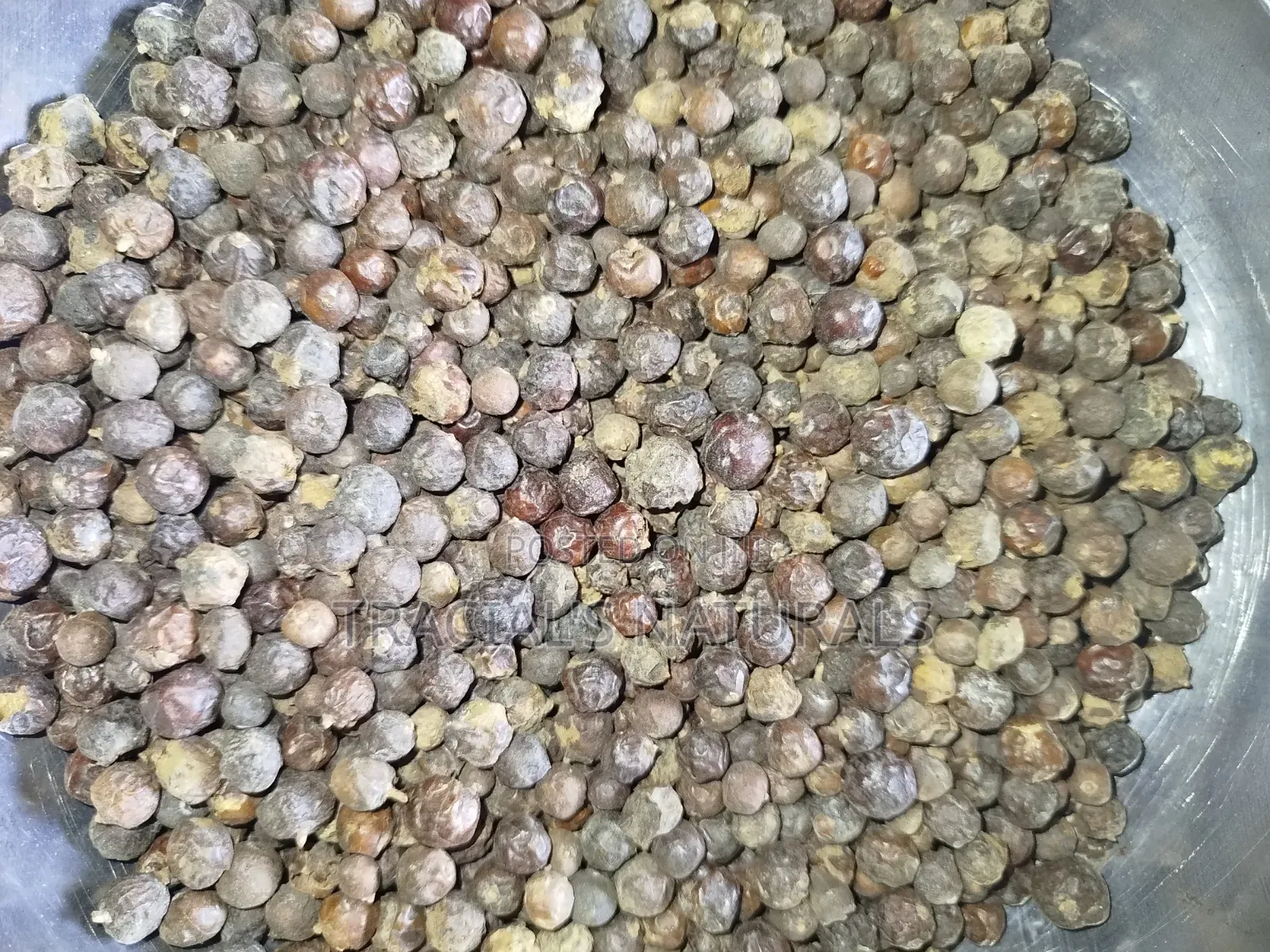 Dried Juniper Berries