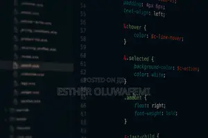 Software Engineer