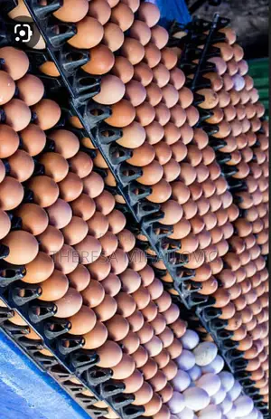 Crate of Egg (30pieces)