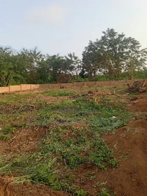 Plots of Land at Ringroad Osogbo