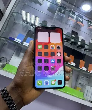 Apple iPhone 11 Pro Max 64 GB Gray