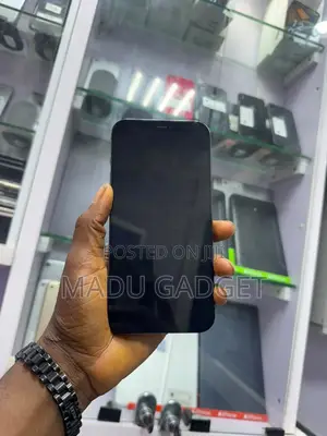 Apple iPhone 12 Pro Max 128 GB Gray