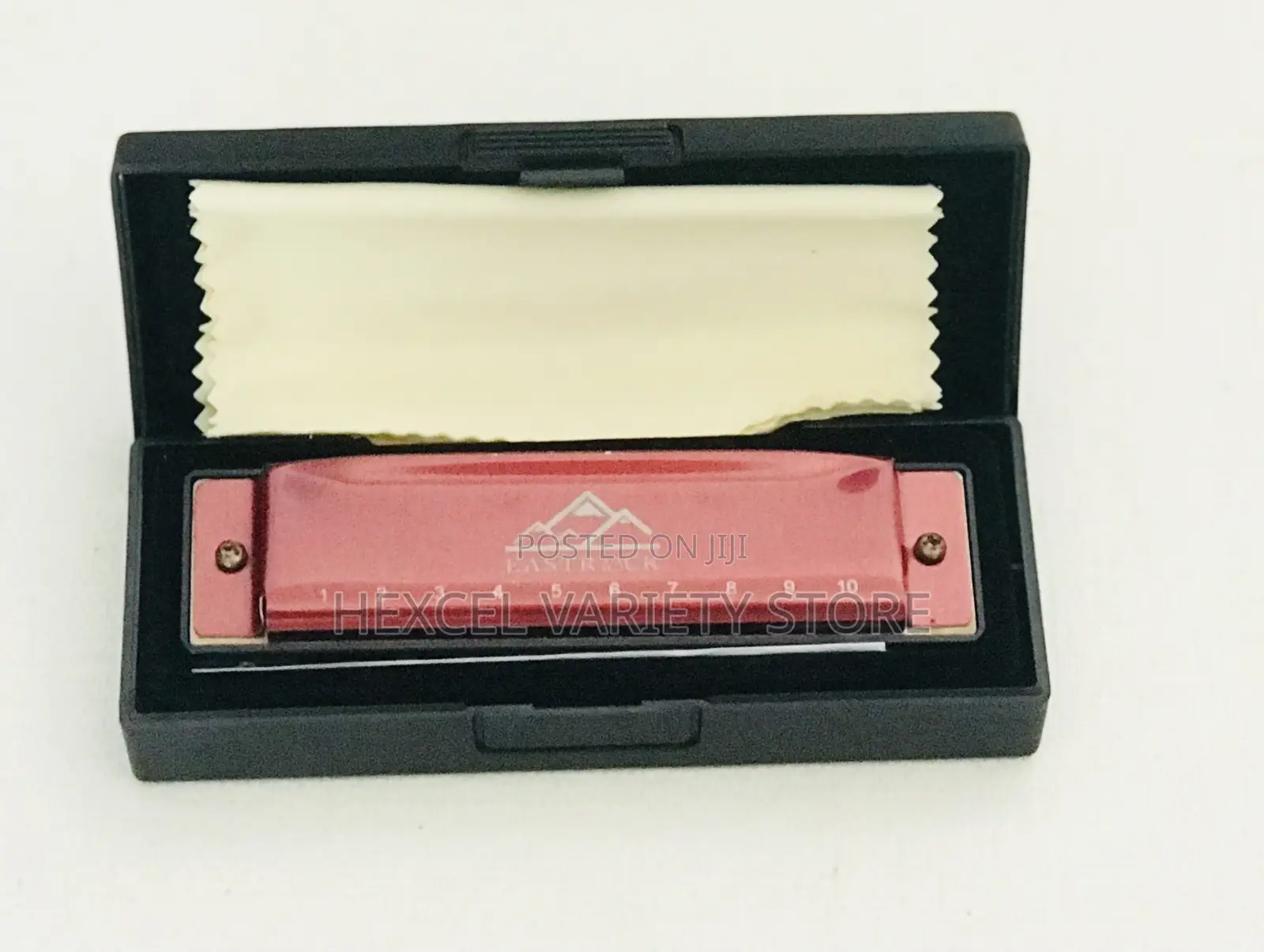 10-Hole Harmonica Instrument