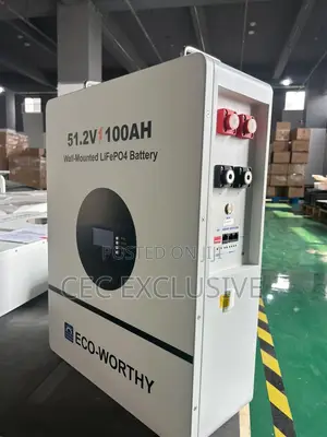 5 KWH 48v Ecoworthy Lithium Battery With Smart BMS Bluetooth
