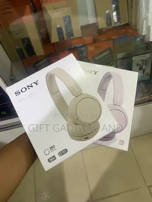 Sony Wh-Ch520