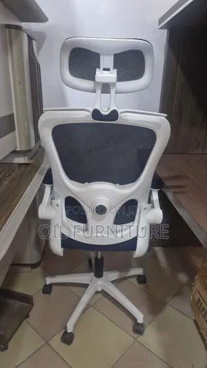 Premium Ergonomic Mesh Executive Office Chair - White Black