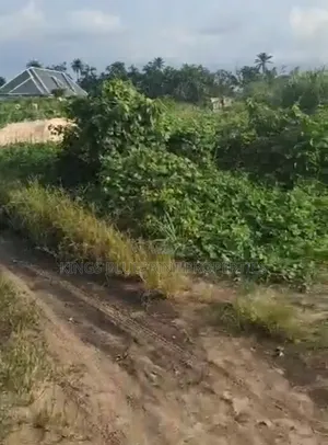 Distress Sale of One and Half Plot of Land for Sale at Adeje Off S/R