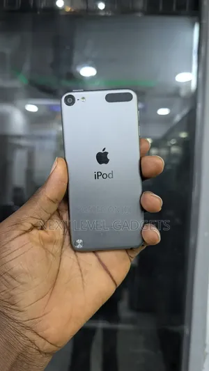 Apple iPhone 5 32 GB Gray