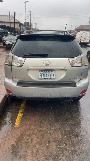 Lexus Rx350 Small Body
