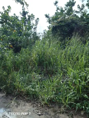 100 Plots at Chinese Coy Neighbourhood