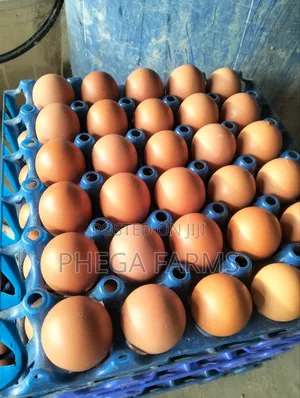 Farm Fresh Eggs