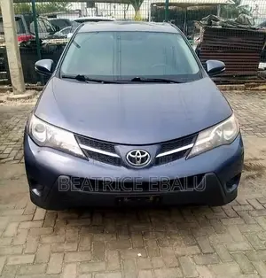 Toyota RAV4 LE 4dr SUV AWD (2.5L 4cyl 6A) 2014 Gray