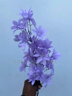 Lilac Long Stems Flower Rentals Service