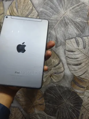 Apple iPad mini 5 64 GB Gray