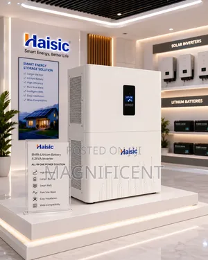 Haisic All-in-One 4kwh Lithium Battery 1.2kva Pure Sine Wav Inverter