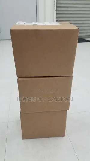 Plain Exporting Carton