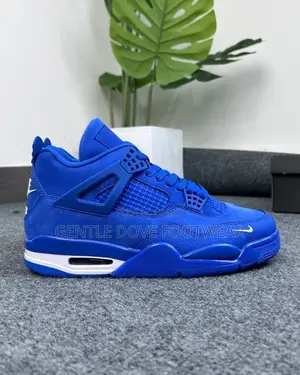 Bike Jordan Sneakers