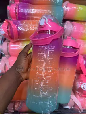 3 in 1 Motivational Water Bottle