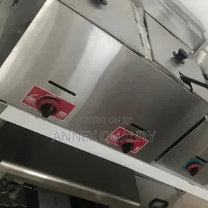 Deep Fryer Gas