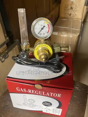 Co2 Regulator 220v
