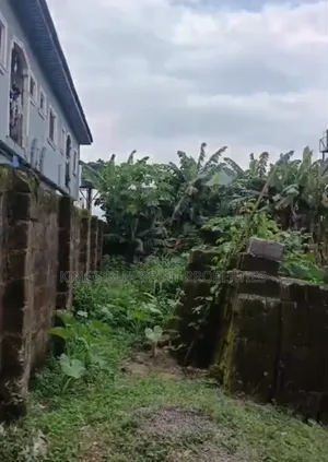 Dry Land With a Block of 3 Stores for Sale at Nigercat
