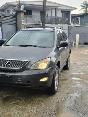 Lexus RX 2007 Gray