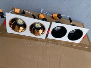 Double Head Square Recessed Anti White Gold Led Down Light