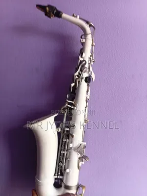 Used Alto Saxophone for Sale